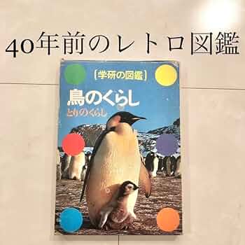 515Bob+VX-L._UF350,350_QL50_.jpg